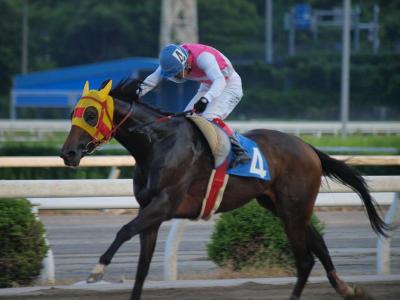 ファイル 565-4.jpg