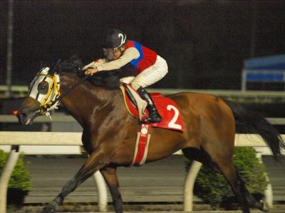 ファイル 565-5.jpg