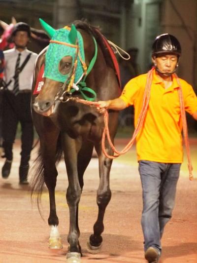 ファイル 566-1.jpg