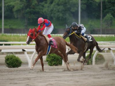 ファイル 570-3.jpg