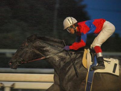 ファイル 570-4.jpg