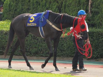 ファイル 571-1.jpg