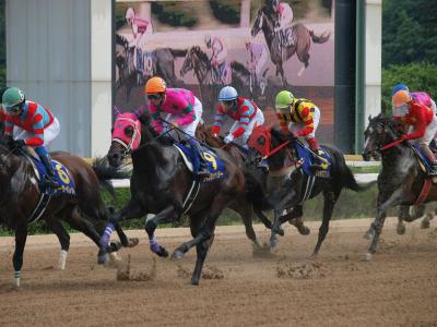 ファイル 571-3.jpg