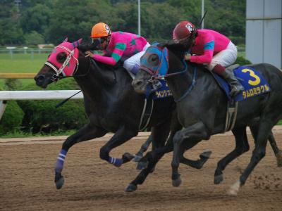 ファイル 571-4.jpg