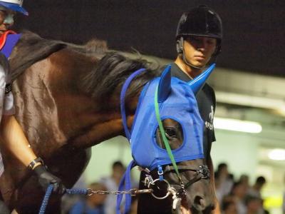 ファイル 572-2.jpg