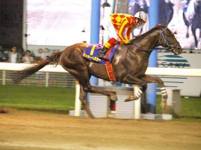 ファイル 572-4.jpg