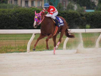 ファイル 573-4.jpg