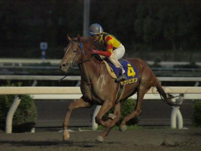 ファイル 574-4.jpg