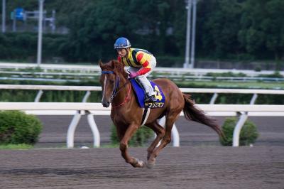 ファイル 575-3.jpg