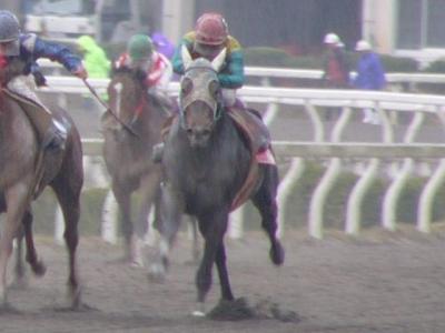 ファイル 62-1.jpg