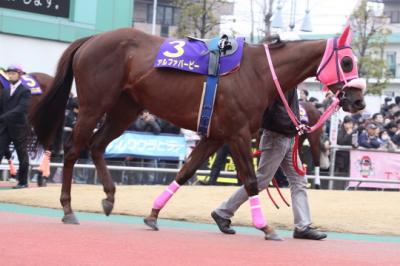 ファイル 63-1.jpg