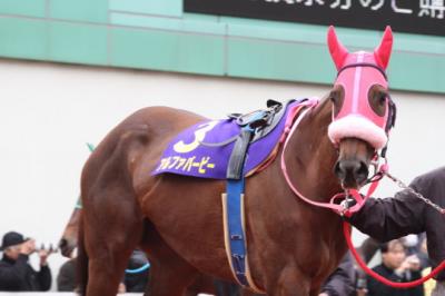 ファイル 63-4.jpg