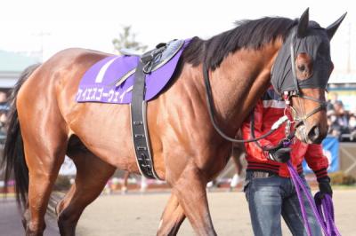 ファイル 65-4.jpg