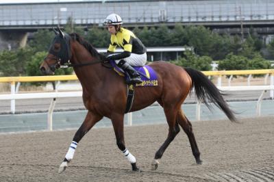 ファイル 66-4.jpg