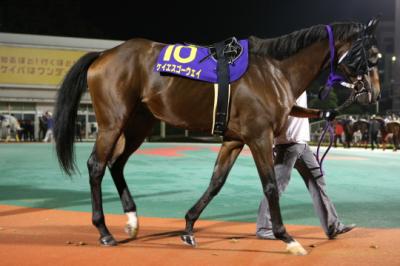 ファイル 7-2.jpg