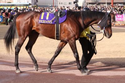 ファイル 70-1.jpg