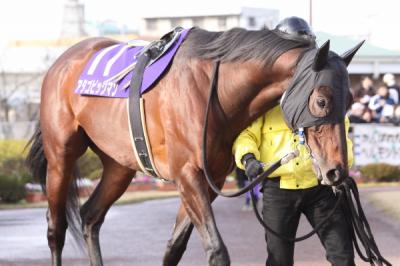 ファイル 70-3.jpg