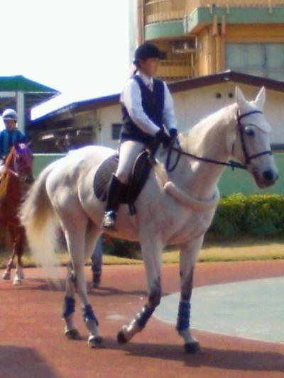 ファイル 73-2.jpg