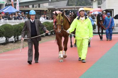 ファイル 74-1.jpg