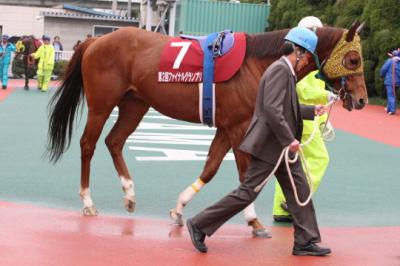 ファイル 74-2.jpg