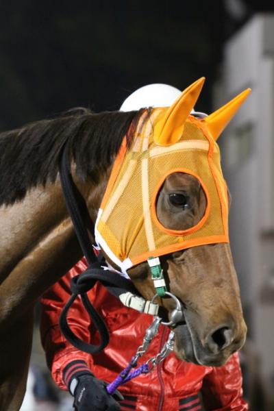 ファイル 81-1.jpg