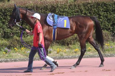 ファイル 83-2.jpg