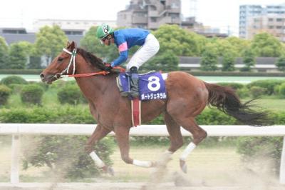 ファイル 84-4.jpg