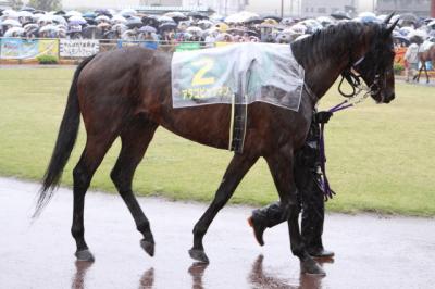 ファイル 85-1.jpg