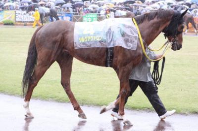 ファイル 86-1.jpg