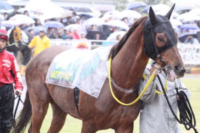 ファイル 86-3.jpg