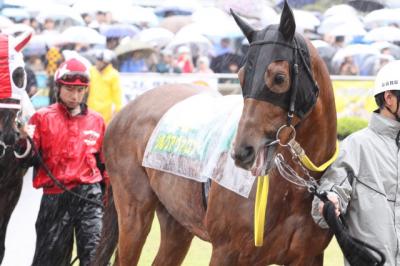 ファイル 86-4.jpg