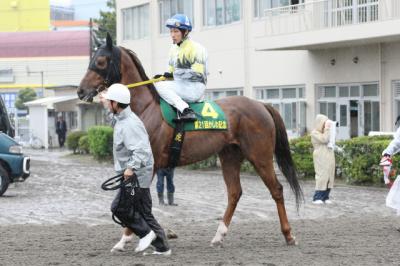 ファイル 86-5.jpg