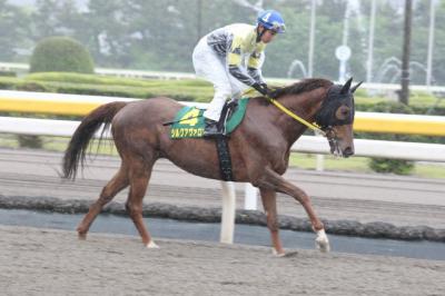 ファイル 87-1.jpg