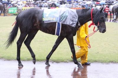 ファイル 88-1.jpg