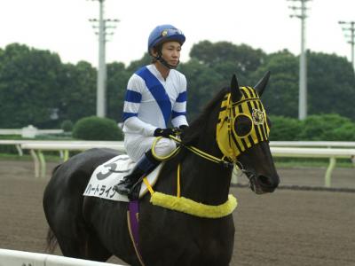 ファイル 9-2.jpg