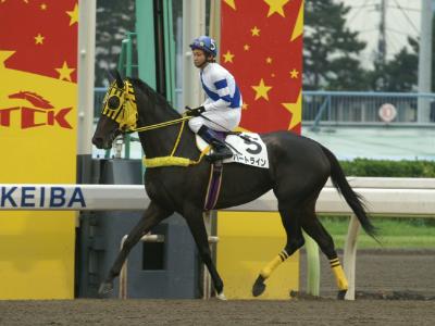 ファイル 9-3.jpg