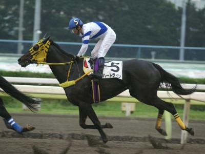 ファイル 9-5.jpg