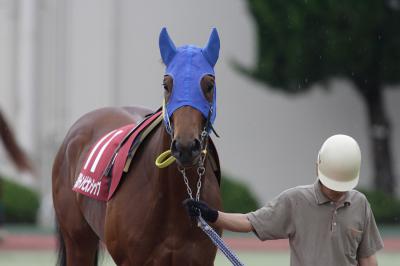 ファイル 90-2.jpg