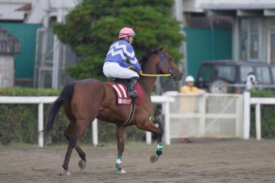 ファイル 90-5.jpg