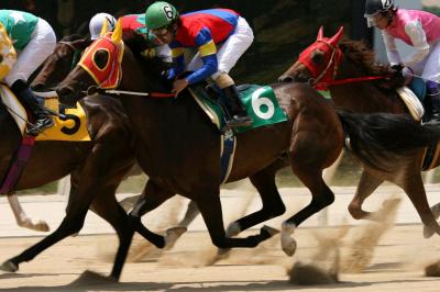 ファイル 91-1.jpg