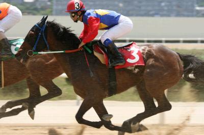 ファイル 91-3.jpg