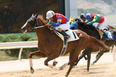 ファイル 91-4.jpg