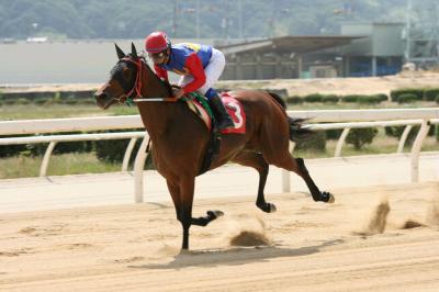 ファイル 92-2.jpg