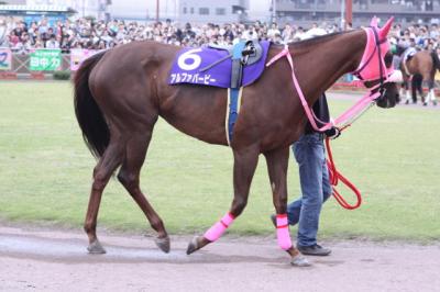 ファイル 93-1.jpg