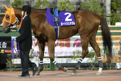 ファイル 94-1.jpg