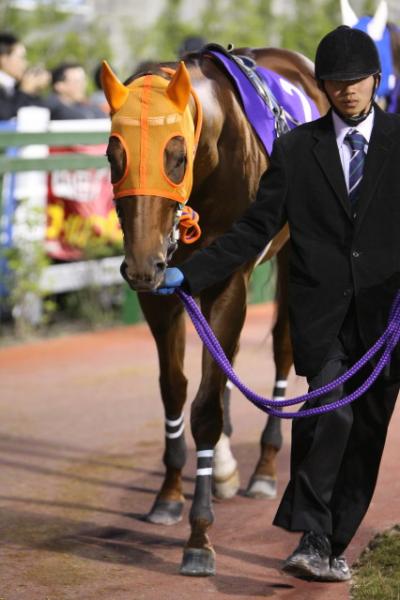 ファイル 94-2.jpg