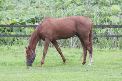 ファイル 95-3.jpg