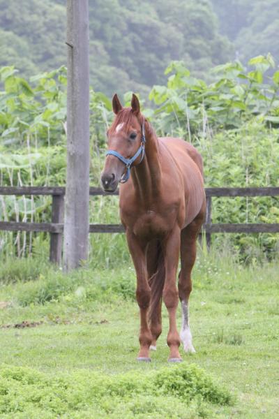 ファイル 95-4.jpg