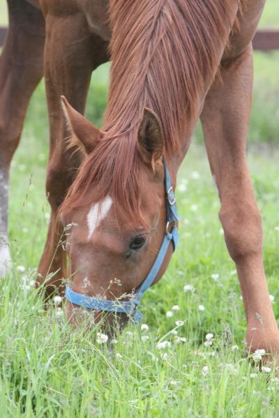 ファイル 95-5.jpg