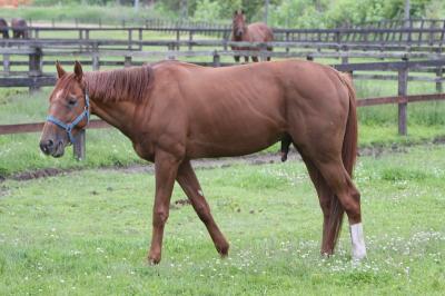 ファイル 96-1.jpg